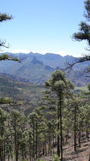 2022-03-GranCan-Mirador_Sargento-Trekking-PM-NN-30.JPG